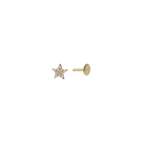 14 Karat Gold Cz Stones Star cartilage Labret Piercing with the threaded close