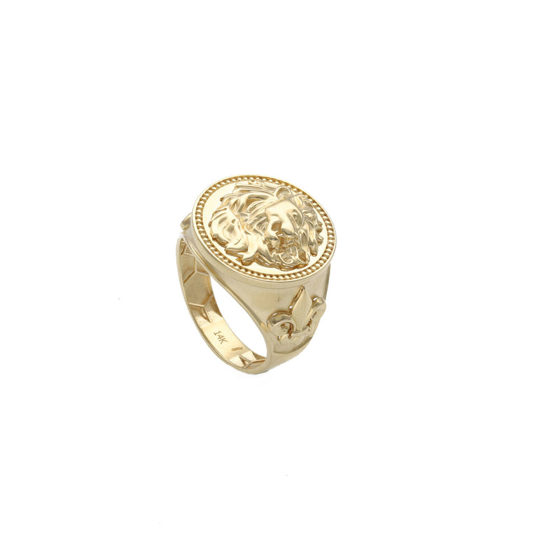 14 Karat Gold Lion Ring