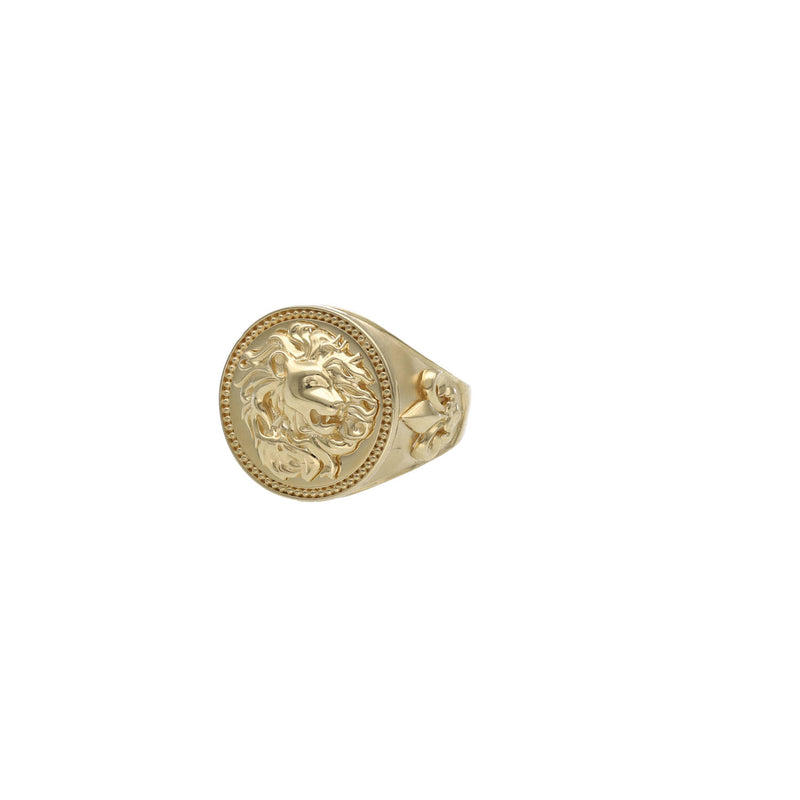 14 Karat Gold Lion Ring
