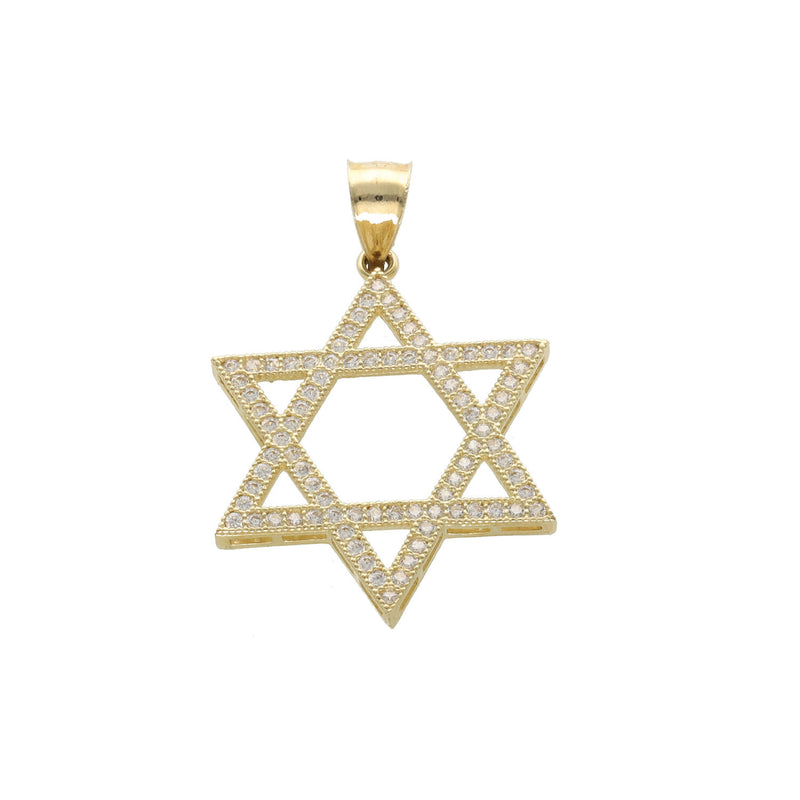 10 Karat Gold Star Of David Charm