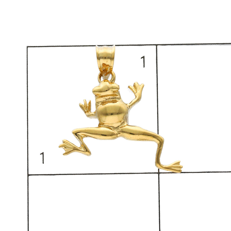 10 Karat Gold Froggi Charm