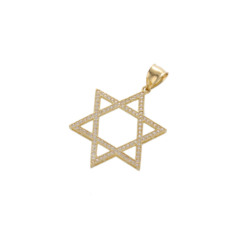 10 Karat Gold Star Of David Charm