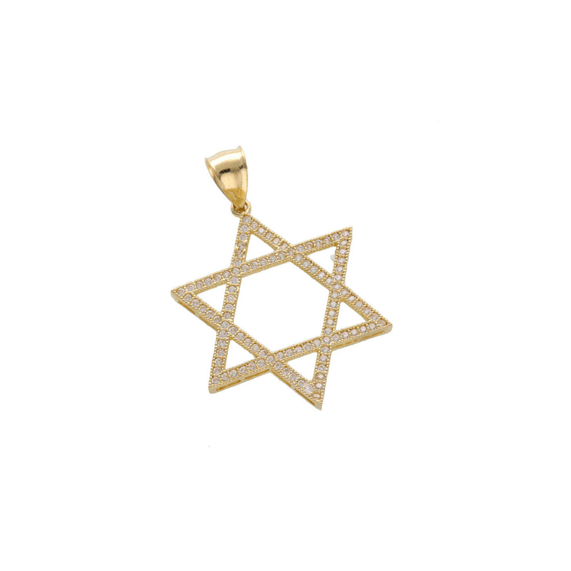 10 Karat Gold Star Of David Charm