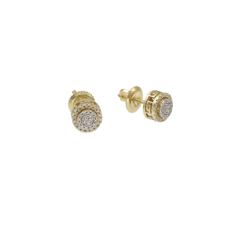 10 Karat Gold & 0.18 ctw Diamond Stud Earrings