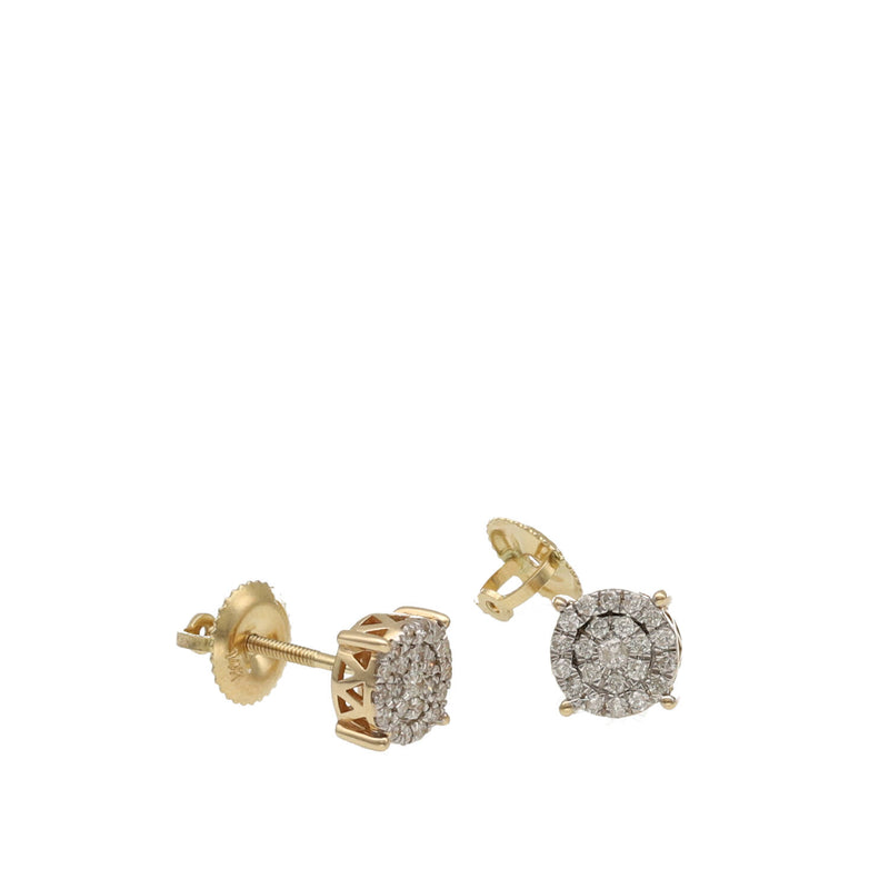 14 Karat Gold & 1/4 ctw Diamond Stud Round Earrings