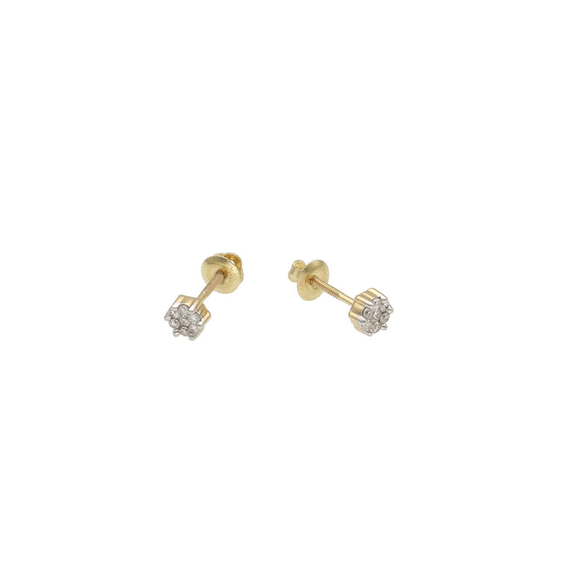 10 Karat Gold  1/6 CTW Diamond Flower Stud Earrings