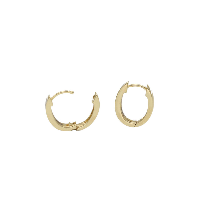 10 Karat Gold 0.25 ctw Diamond hoops Earrings