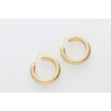 Gold Hoops Earring