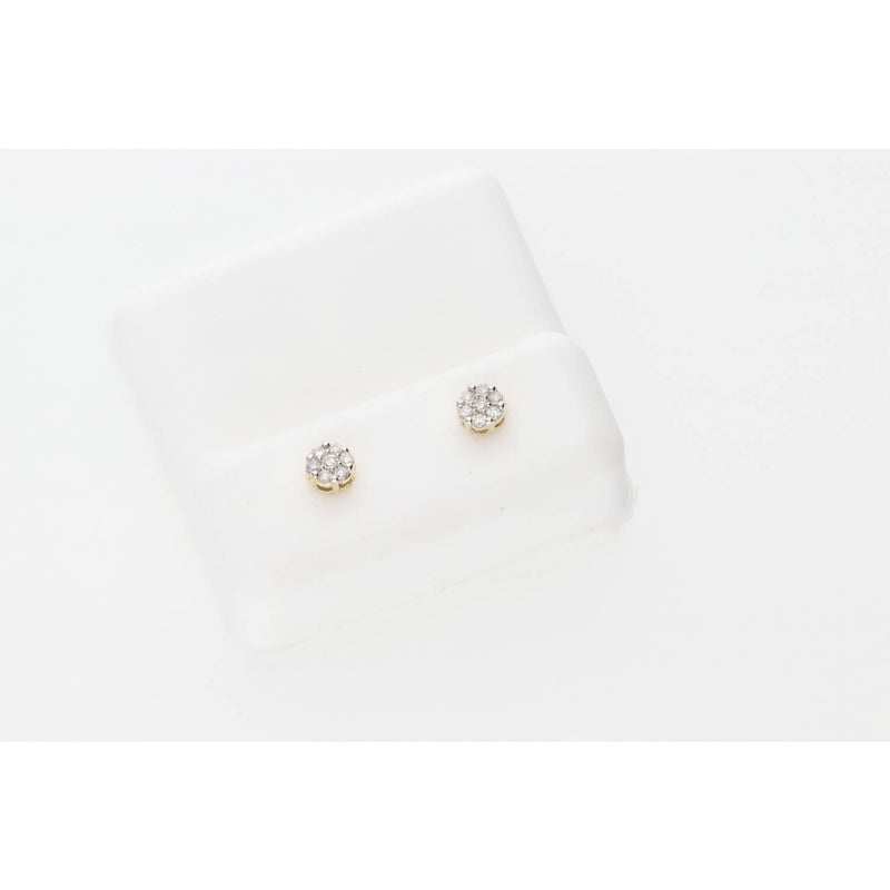 10 Karat Gold 0.16ctw A25Diamond Flower Earring