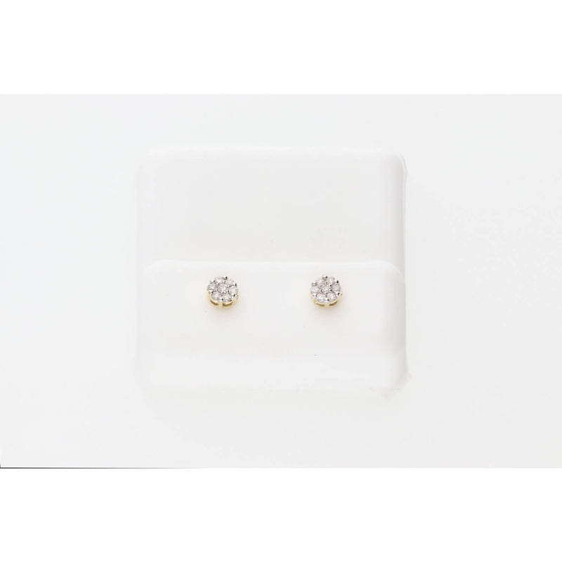 10 Karat Gold 0.16ctw A25Diamond Flower Earring