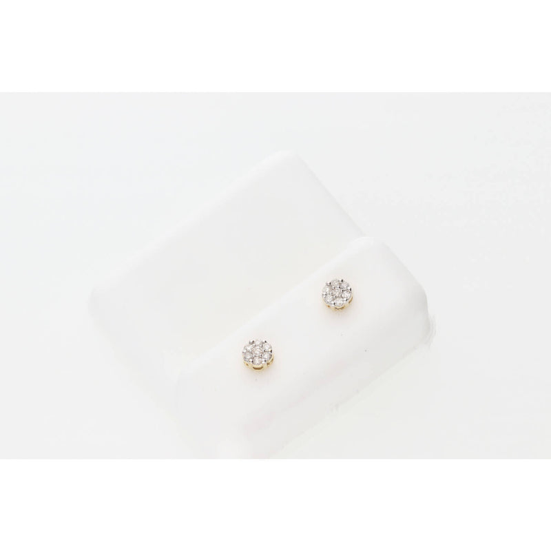 10 Karat Gold 0.16ctw A25Diamond Flower Earring