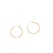 Gold Hoops Earring