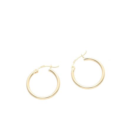 Gold Hoops Earring