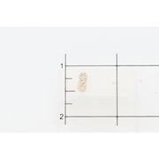 14K & CZ Infinite Earring